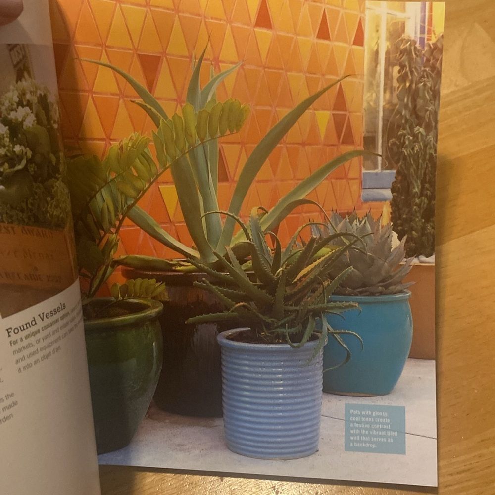 Sunset Magazine Container Gardening Guide - Picture 3 of 6
